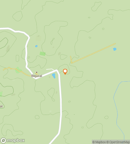 Map of scavenger hunt walking tour for Tikal the Wild: A Quest Through Time and Canopy