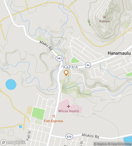 Mapa spaceru z przewodnikiem po grze terenowej The Garden Island Ledger&colon; A Lihue Heritage Quest