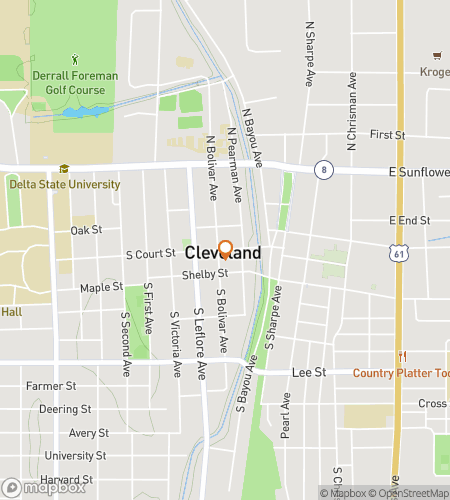 Map of scavenger hunt walking tour for Cleveland‘s Delta Dazzle Hunt