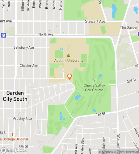 Kazanmak &Idot;&ccedil;in Adelphi'ye Ba&scedil;la&colon; Adelphi &Uuml;niversitesi Akademik &Uuml;niversite Av&inodot; hazine av&inodot; y&uuml;r&uuml;y&uuml;&scedil; turu haritas&inodot;