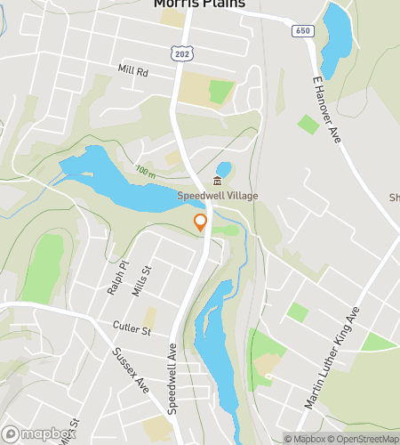 Map of scavenger hunt walking tour for Speedwell Park Hunt