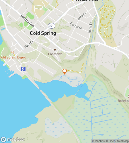 Map of scavenger hunt walking tour for Cold Spring scavenger hunt