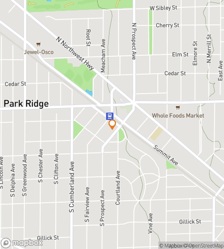 Map of scavenger hunt walking tour for Park Ridge Illinois Bar Hunt