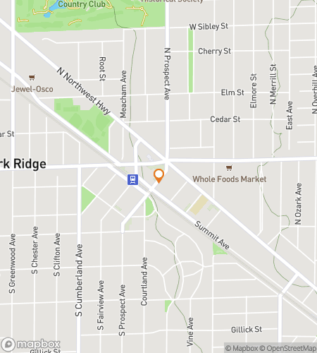 Map of scavenger hunt walking tour for Park Ridge Picklehide Pursuit