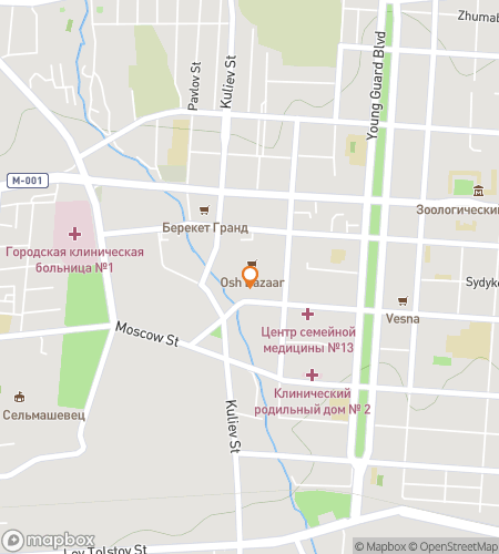 Map of scavenger hunt walking tour for The Silk Road City Quest