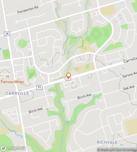 Map of scavenger hunt walking tour for Rich in Fun on Richmond Hill&excl;