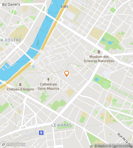 Map of scavenger hunt walking tour for Medieval Mysteries: Discovering Angers