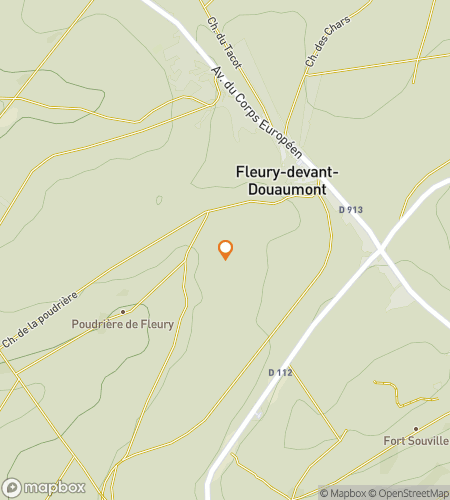 Map of scavenger hunt walking tour for Fields of Silence: The Fleury Adventure