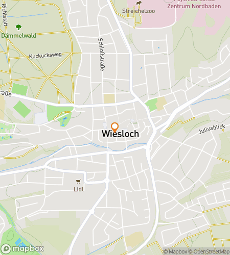 Map of scavenger hunt walking tour for Fueling the Future: A Wiesloch Hunt