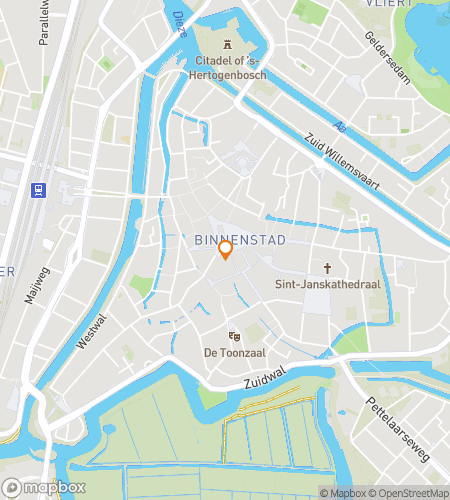 Hartă tur de mers pe jos pentru vânătoare de comori pentru Den Bosch Downtown Dash