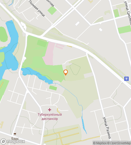 Karta över skattjaktvandringstur för Från prinsar till patrioter: Ryazan-äventyret