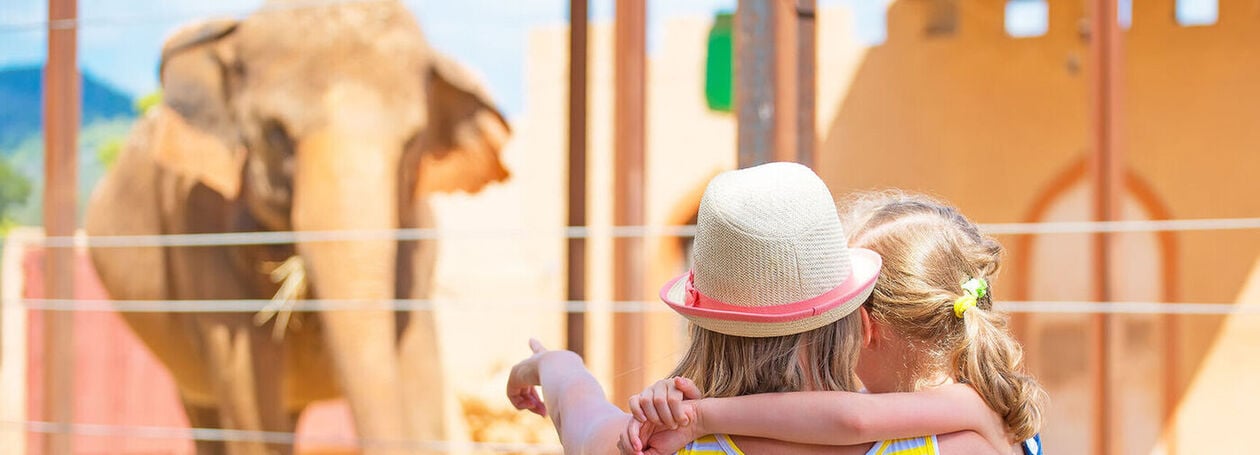Family starting a zoo scavenger hunt adventure