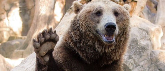 Friends taking a photo during a zoo adventure