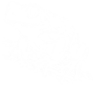 Frog icon